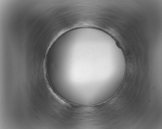 X0000064731382200602241701