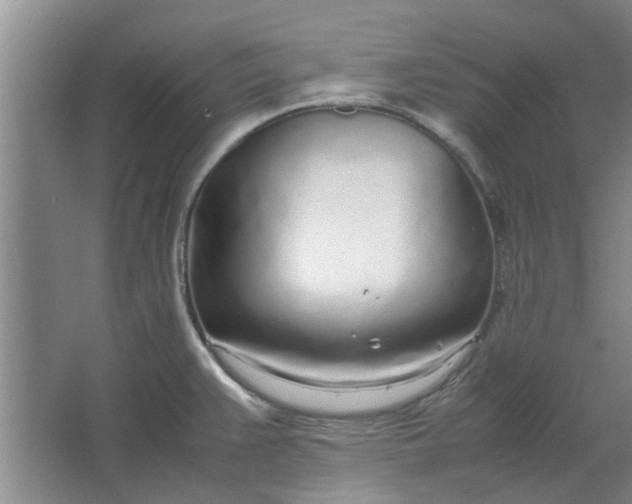 X0000064731383200602241701