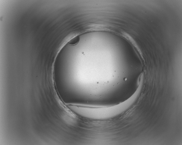 X0000064731386200602241701