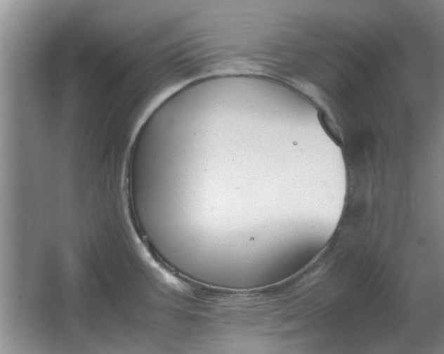 X0000064731387200602241701