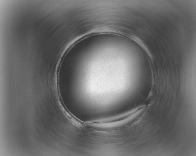 X0000064731388200602241701