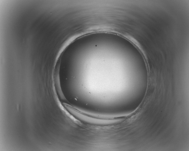 X0000064731389200602241701