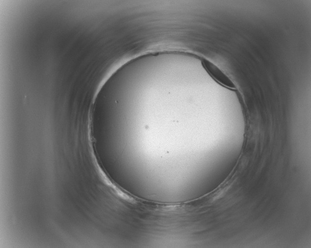 X0000064731390200602241701