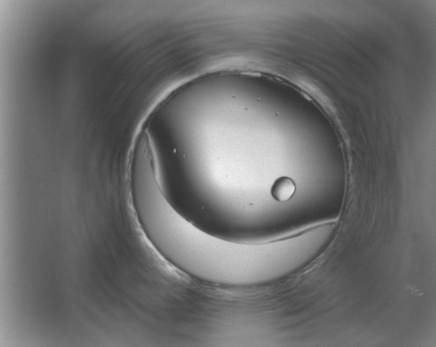 X0000064731392200602241701