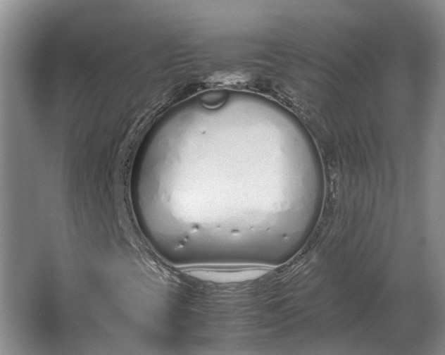 X0000064731393200602241700