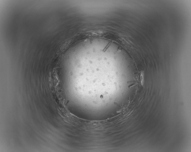 X0000064731395200602241700