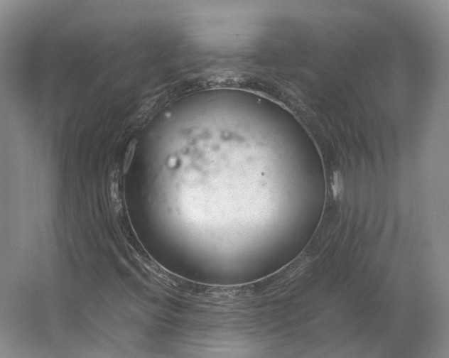 X0000064731396200602241700