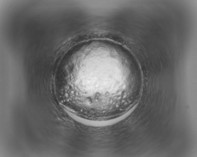 X0000064731397200602241700