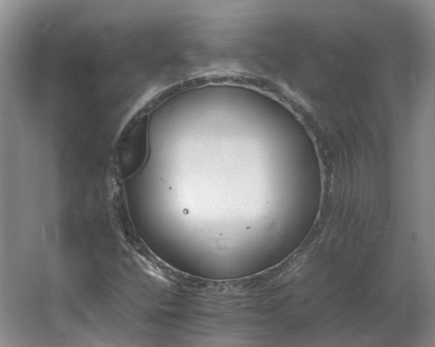 X0000064731400200602241700