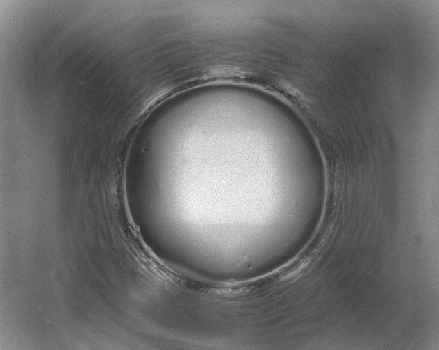 X0000064731401200602241700