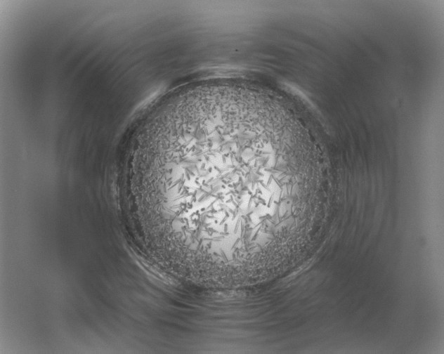 X0000064731403200602241700