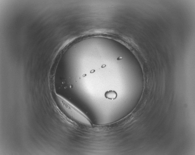 X0000064731404200602241700