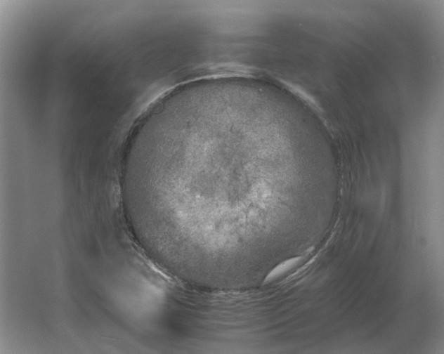 X0000064731407200602241700