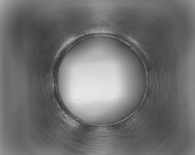 X0000064731408200602241700