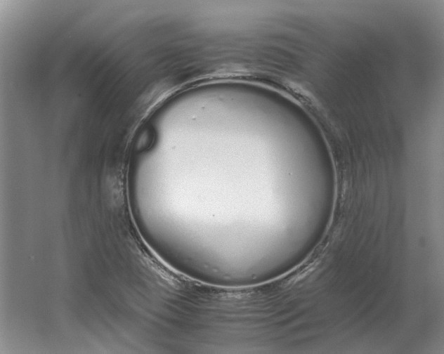 X0000064731409200602241700