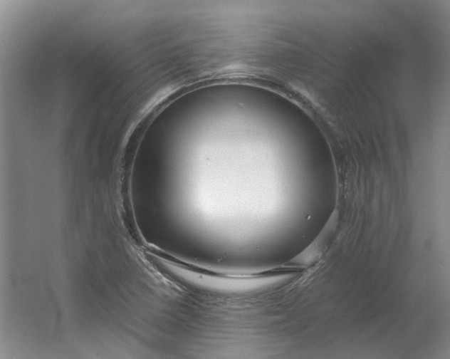 X0000064731410200602241700