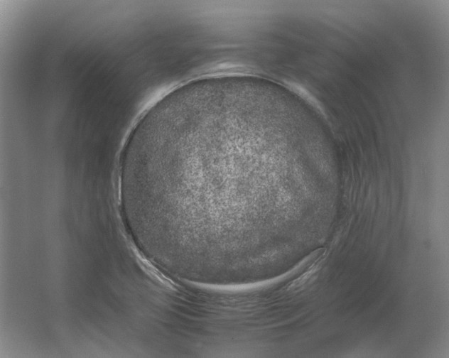 X0000064731413200602241700