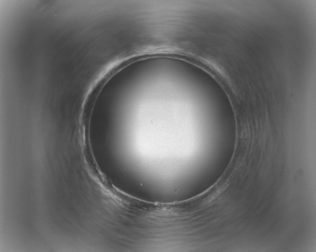 X0000064731414200602241700