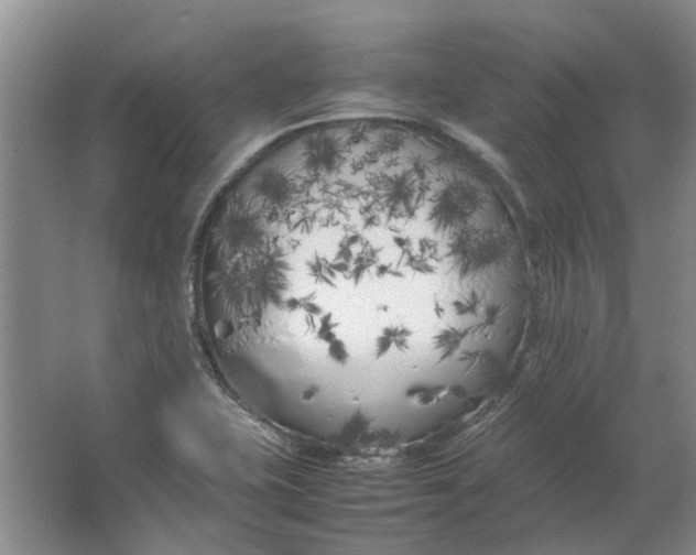 X0000064731415200602241700