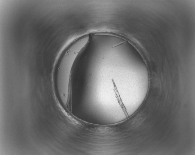 X0000064731416200602241700