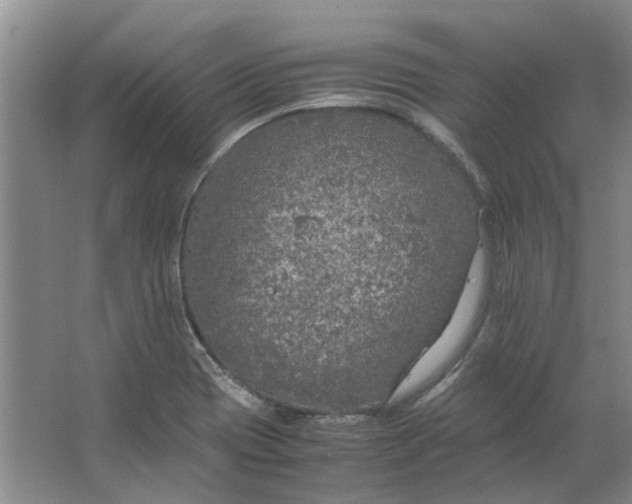 X0000064731417200602241700