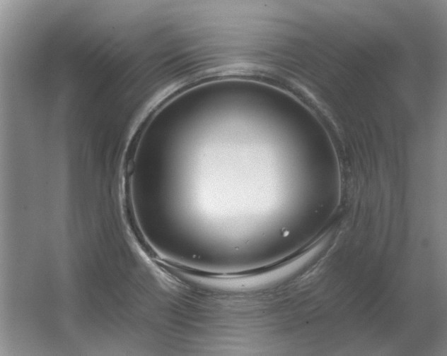 X0000064731418200602241700