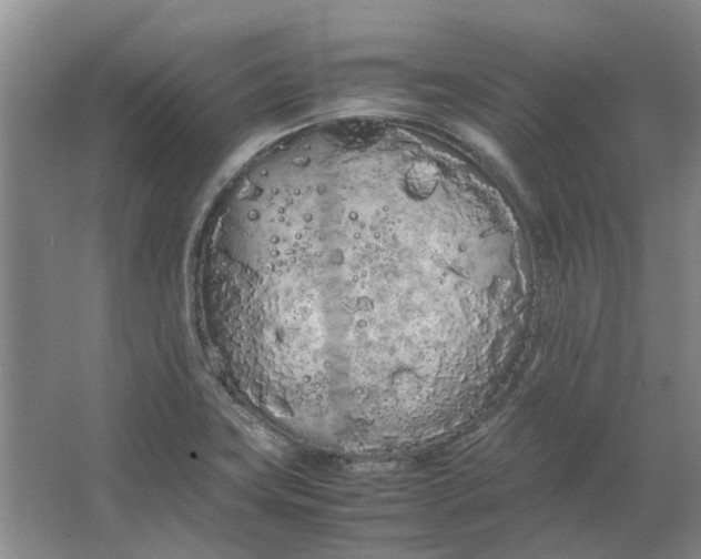 X0000064731419200602241700