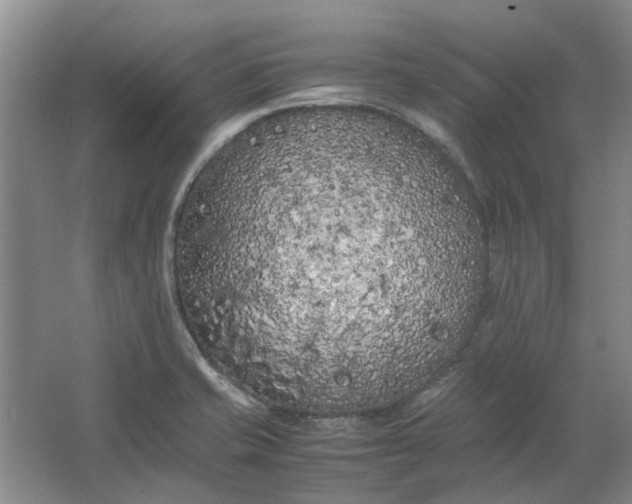 X0000064731421200602241700