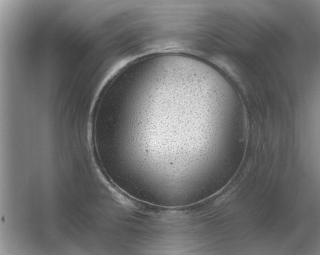 X0000064731424200602241701