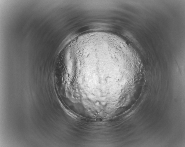 X0000064731425200602241701