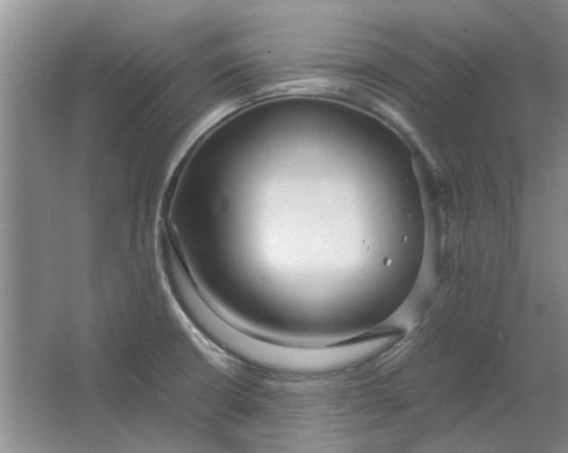 X0000064731426200602241701