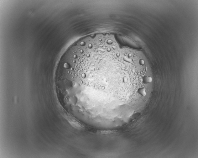 X0000064731427200602241701