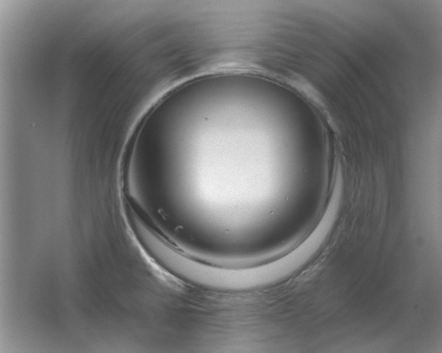 X0000064731430200602241701