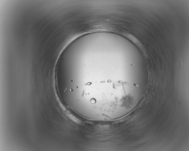 X0000064731431200602241701