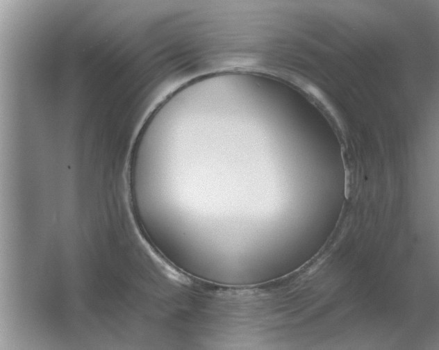 X0000064731432200602241701