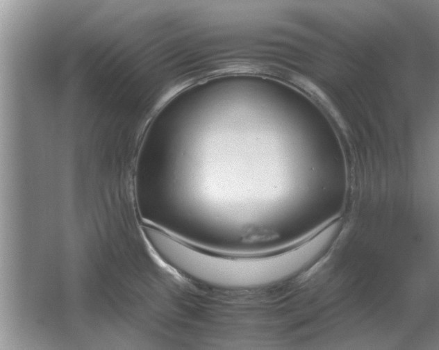 X0000064731433200602241701