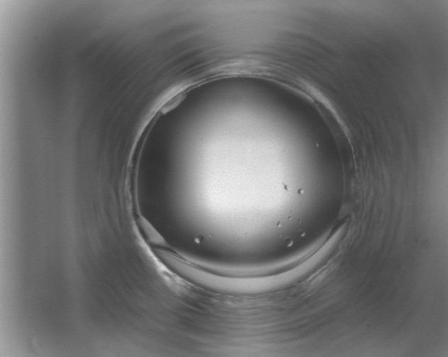 X0000064731434200602241701