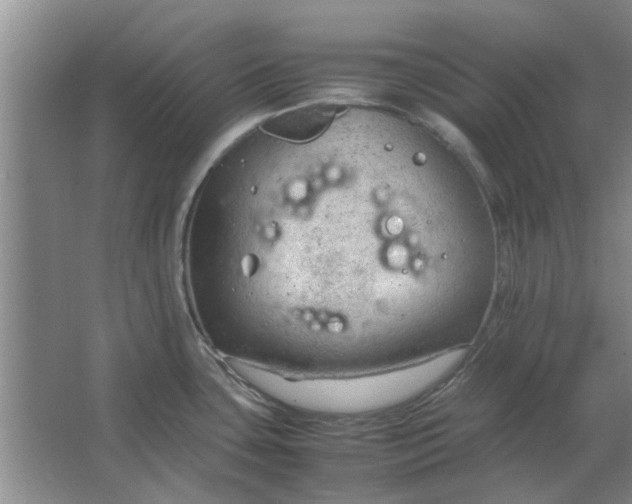 X0000064731435200602241701