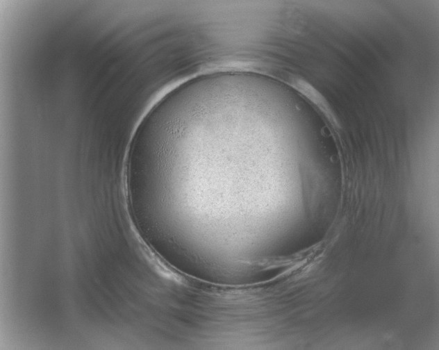 X0000064731436200602241701