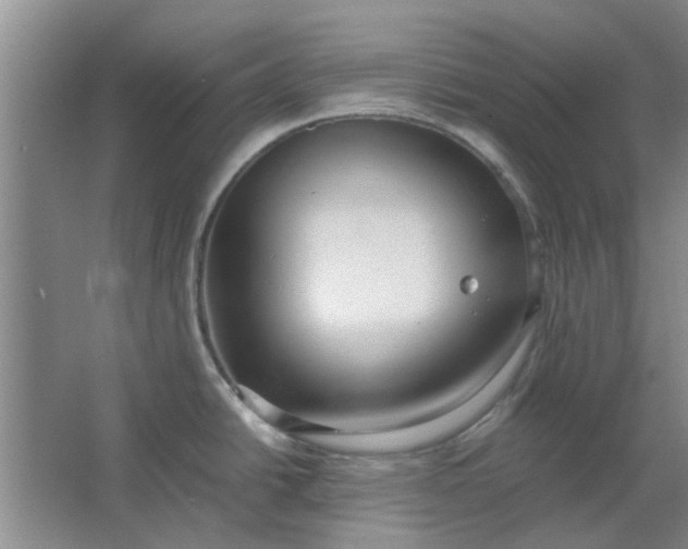 X0000064731438200602241701