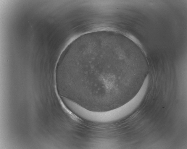 X0000064731439200602241701