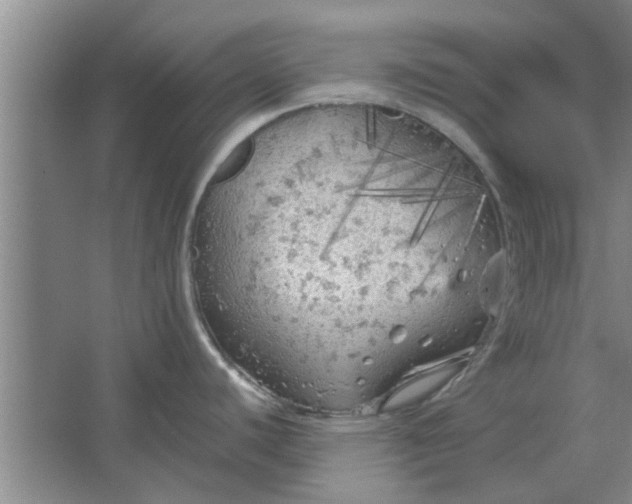 X0000064731440200602241701