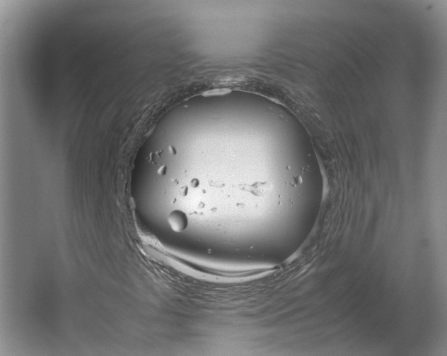 X0000064731441200602241700