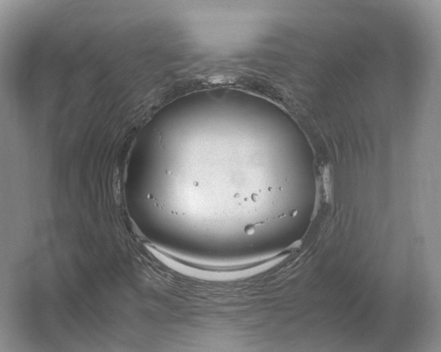 X0000064731443200602241700