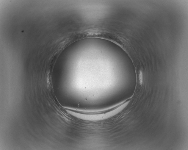 X0000064731444200602241700