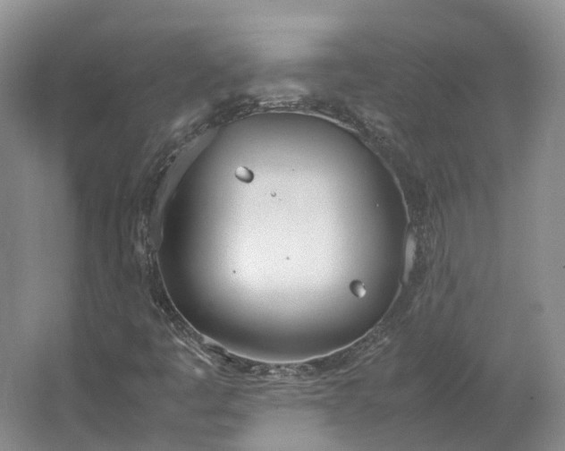 X0000064731445200602241700