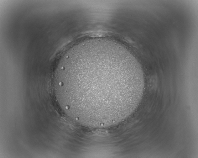 X0000064731446200602241700