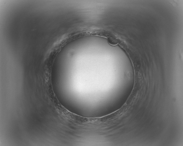 X0000064731447200602241700