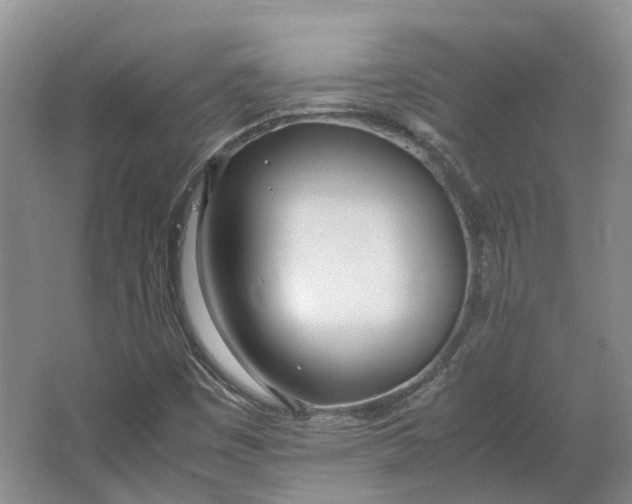 X0000064731449200602241659