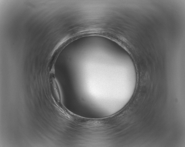 X0000064731450200602241659